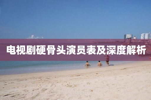 电视剧硬骨头演员表及深度解析