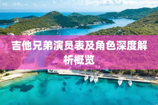 吉他兄弟演员表及角色深度解析概览