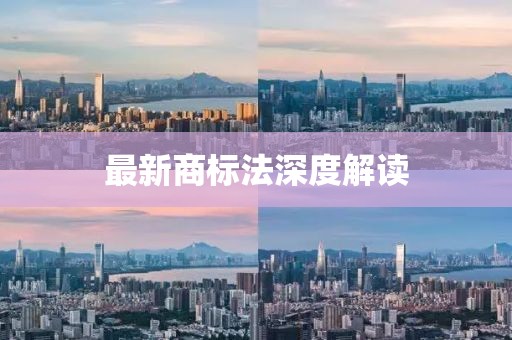 最新商标法深度解读