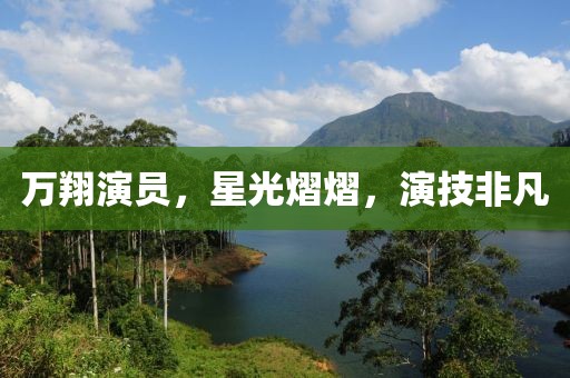 万翔演员，星光熠熠，演技非凡