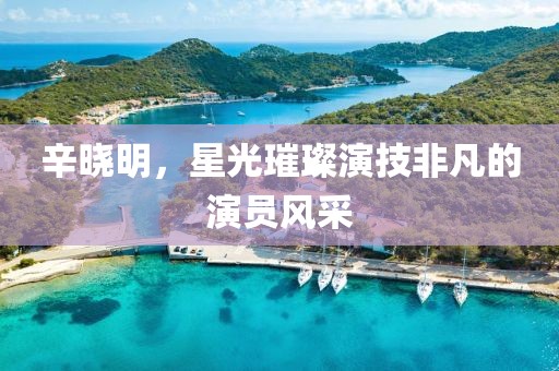 辛晓明，星光璀璨演技非凡的演员风采