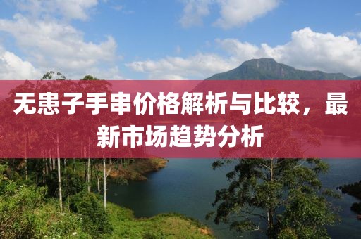 无患子手串价格解析与比较，最新市场趋势分析