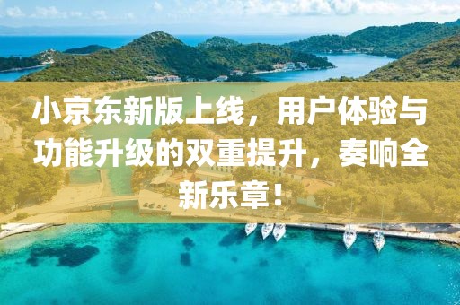 小京东新版上线，用户体验与功能升级的双重提升，奏响全新乐章！