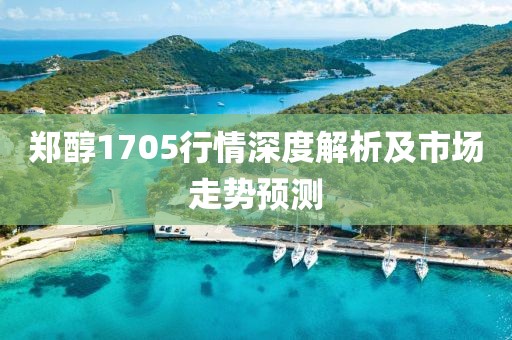 郑醇1705行情深度解析及市场走势预测