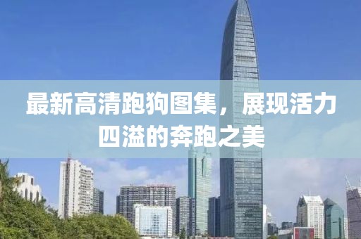 最新高清跑狗图集，展现活力四溢的奔跑之美