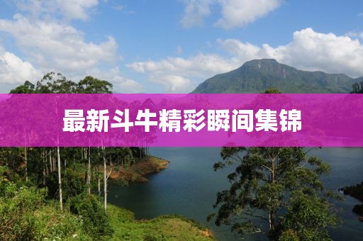 最新斗牛精彩瞬间集锦
