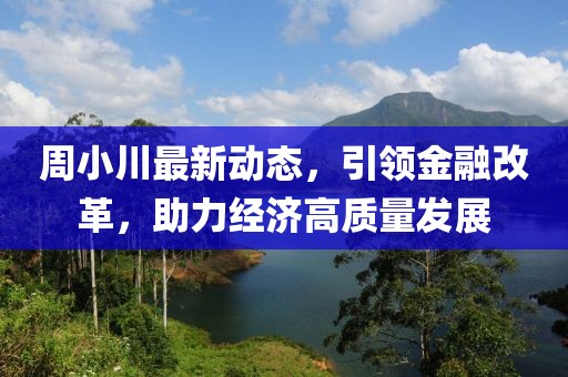 周小川最新动态，引领金融改革，助力经济高质量发展