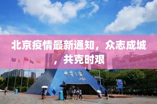 逸迢弦语 第41页