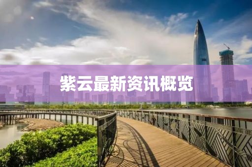 紫云最新资讯概览