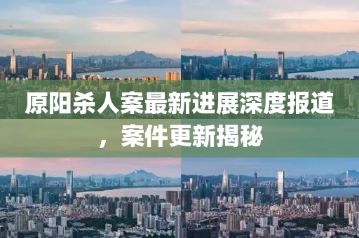 原阳杀人案最新进展深度报道，案件更新揭秘