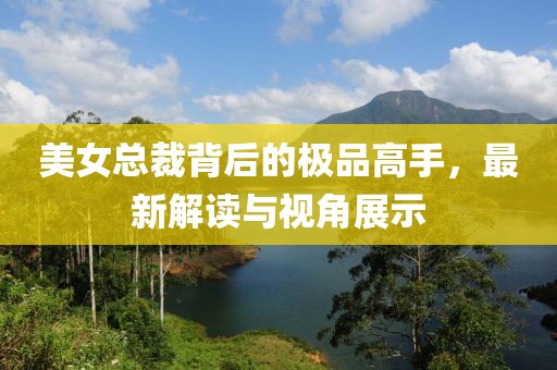 美女总裁背后的极品高手，最新解读与视角展示