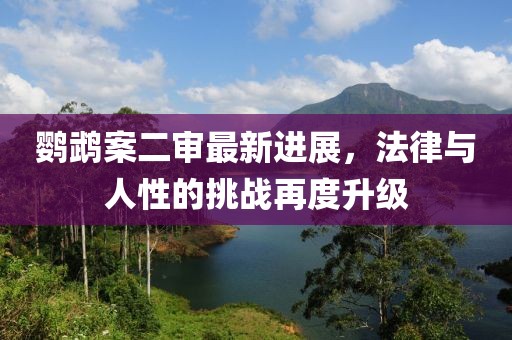 鹦鹉案二审最新进展，法律与人性的挑战再度升级