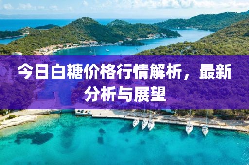 今日白糖价格行情解析，最新分析与展望
