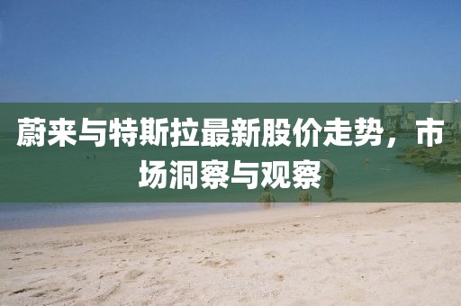 蔚来与特斯拉最新股价走势，市场洞察与观察