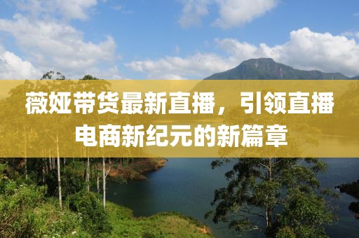 薇娅带货最新直播，引领直播电商新纪元的新篇章