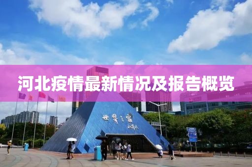 河北疫情最新情况及报告概览