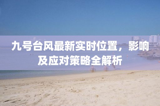 九号台风最新实时位置，影响及应对策略全解析