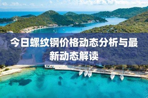 今日螺纹钢价格动态分析与最新动态解读
