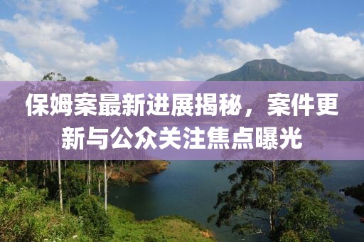保姆案最新进展揭秘，案件更新与公众关注焦点曝光