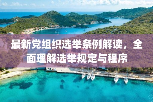 最新党组织选举条例解读，全面理解选举规定与程序