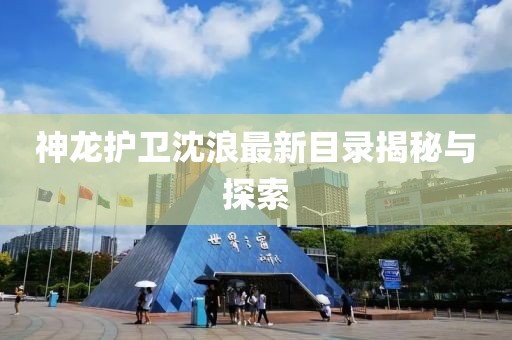 神龙护卫沈浪最新目录揭秘与探索
