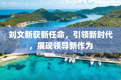 刘文新获新任命，引领新时代，展现领导新作为