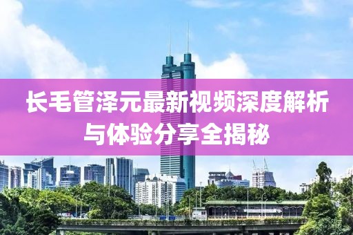 长毛管泽元最新视频深度解析与体验分享全揭秘