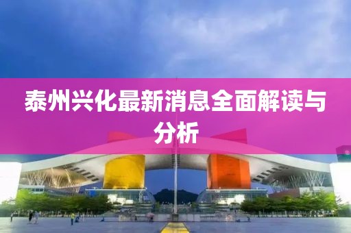 泰州兴化最新消息全面解读与分析