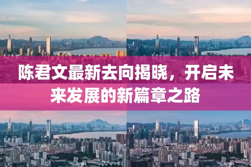 陈君文最新去向揭晓，开启未来发展的新篇章之路