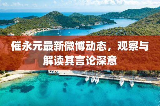 催永元最新微博动态，观察与解读其言论深意