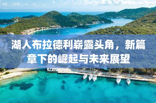 湖人布拉德利崭露头角，新篇章下的崛起与未来展望