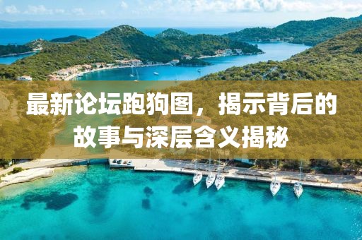 最新论坛跑狗图，揭示背后的故事与深层含义揭秘