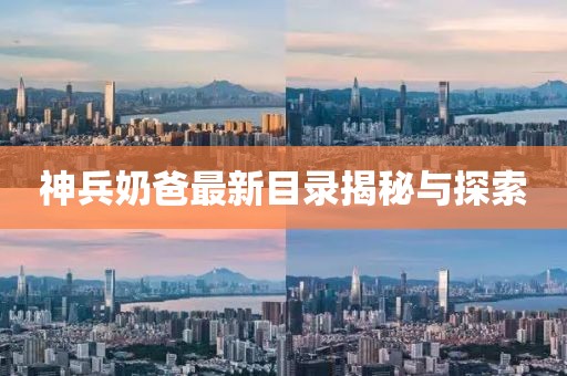 神兵奶爸最新目录揭秘与探索