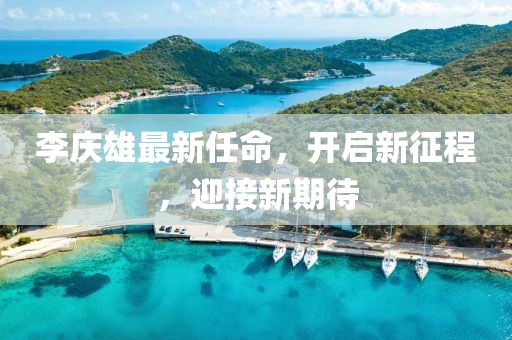李庆雄最新任命，开启新征程，迎接新期待
