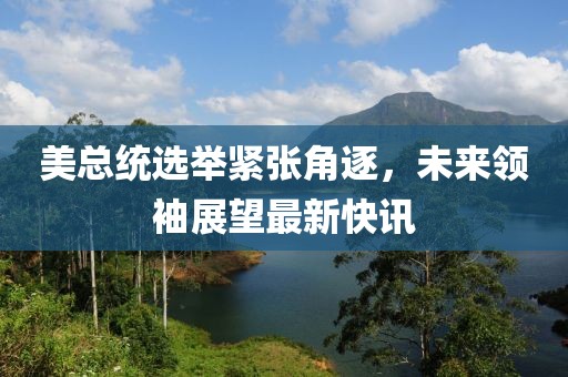 美总统选举紧张角逐，未来领袖展望最新快讯
