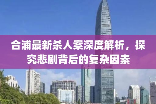 合浦最新杀人案深度解析，探究悲剧背后的复杂因素