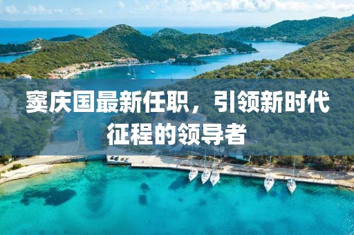 窦庆国最新任职，引领新时代征程的领导者