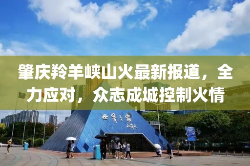 肇庆羚羊峡山火最新报道，全力应对，众志成城控制火情