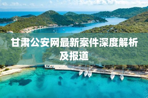 甘肃公安网最新案件深度解析及报道