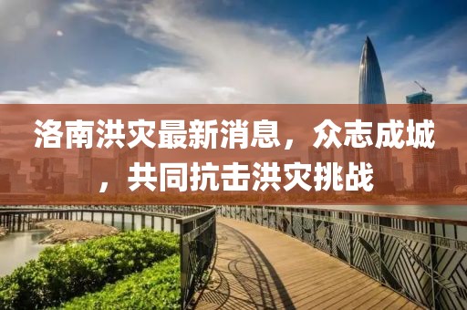 洛南洪灾最新消息，众志成城，共同抗击洪灾挑战
