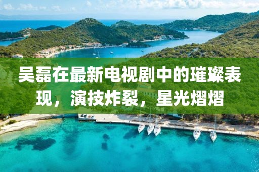 吴磊在最新电视剧中的璀璨表现，演技炸裂，星光熠熠