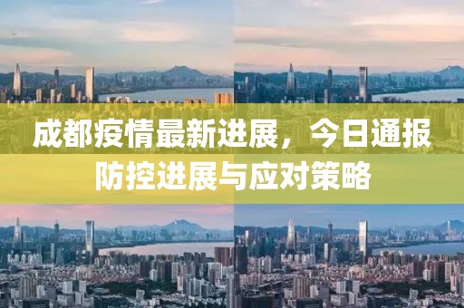 成都疫情最新进展，今日通报防控进展与应对策略