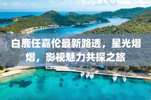 白鹿任嘉伦最新路透，星光熠熠，影视魅力共探之旅