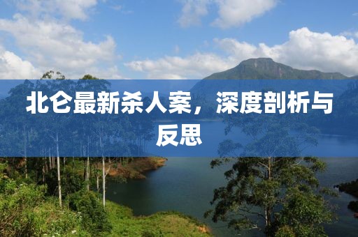 北仑最新杀人案，深度剖析与反思