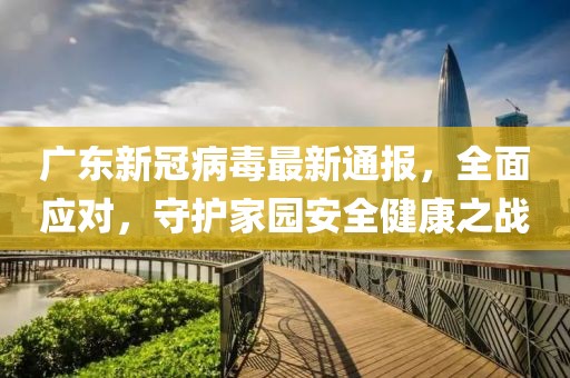 广东新冠病毒最新通报，全面应对，守护家园安全健康之战
