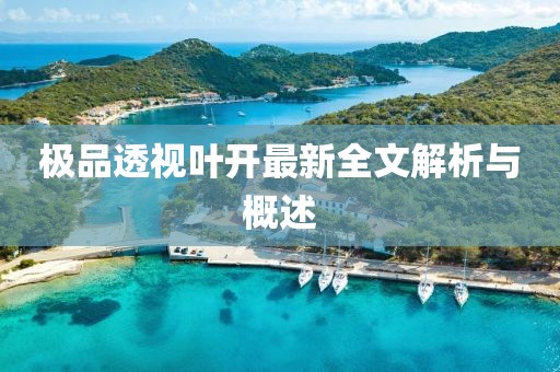 极品透视叶开最新全文解析与概述