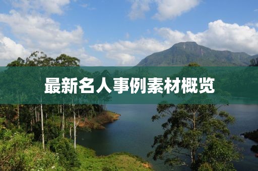 最新名人事例素材概览
