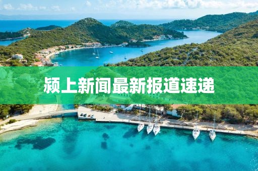 颍上新闻最新报道速递