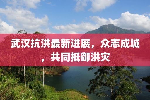 武汉抗洪最新进展，众志成城，共同抵御洪灾