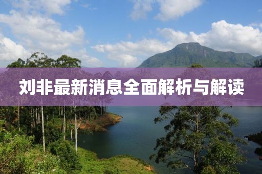 刘非最新消息全面解析与解读